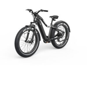 Home Mountain Bike