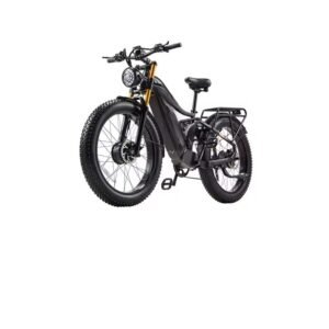 Home Fat Tire