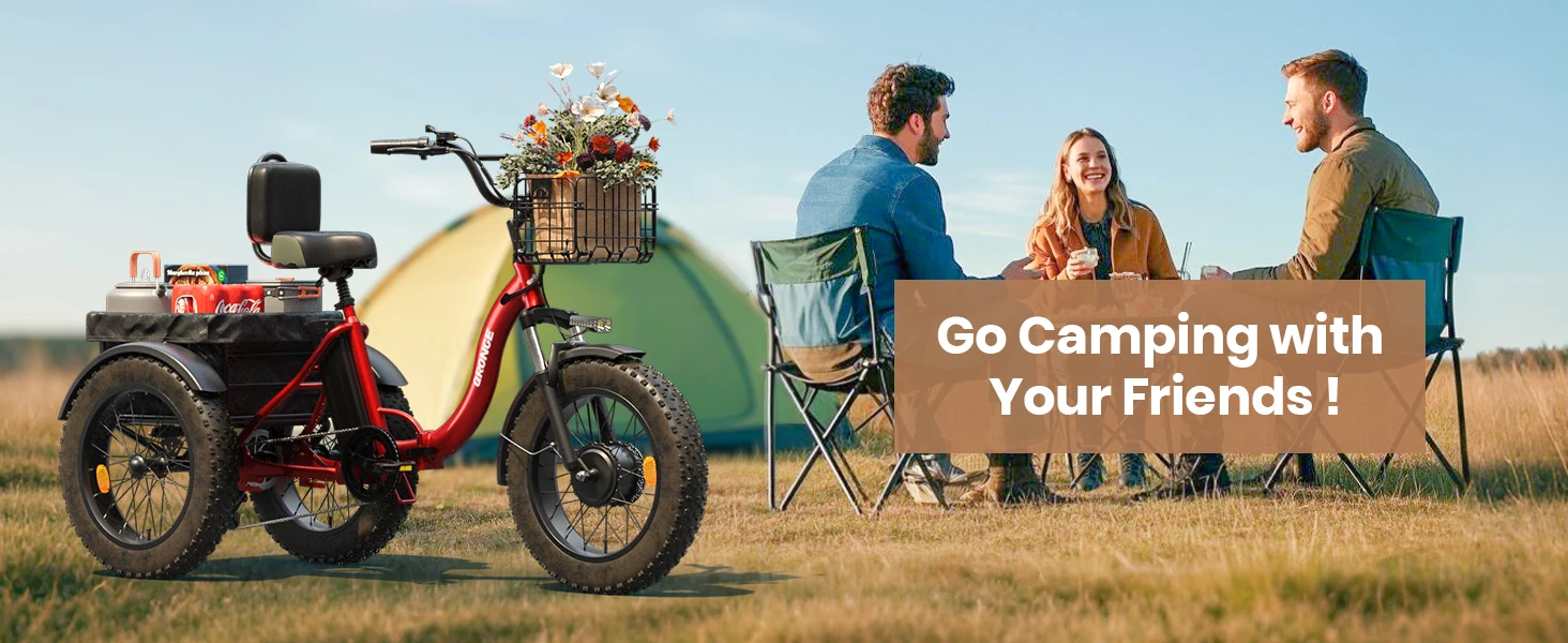 QRONGE Lava 750W Electric Tricycle for Adults with LCD Display-Gray Kf A02eaa395305a416c90db9a137b937045A