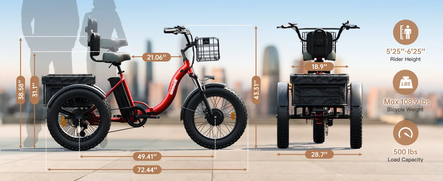QRONGE Lava 750W Electric Tricycle for Adults with LCD Display-Gray Front basket and handlebar controls with LCD screen
