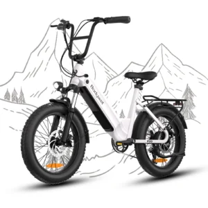 Home bodywel f20 fat tire ebike 20inch electric bicycle 500w 48v 13.5ah battery all terrain e dirt bike for adults
