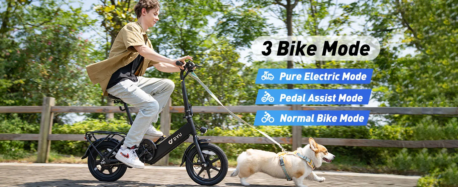 DYU C3-16 rear motor and wheel close-up