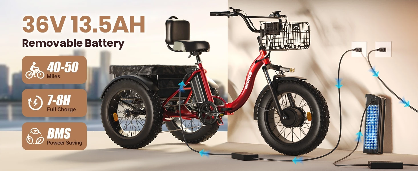 QRONGE Lava 750W Electric Tricycle for Adults with LCD Display-Gray QRONGE Lava 36V lithium battery and motor system