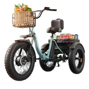 New Arrivals qronge lava 750w electric tricycle for adults with lcd display