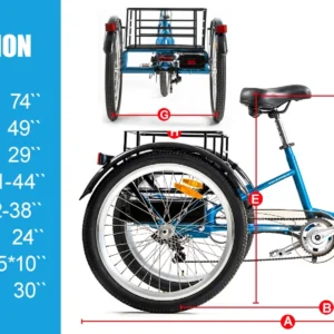 3 wheel electric cargo tricycle for adult powerful strong 750w peak motor 36v 24 inch tire electric city bike for man women