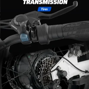 ebike s1 bike 750w 48v 16ah men's/ladies 7 speed 20 inch off road city electric bike available for beaches mountains