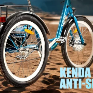 3 wheel electric cargo tricycle for adult powerful strong 750w peak motor 36v 24 inch tire electric city bike for man women