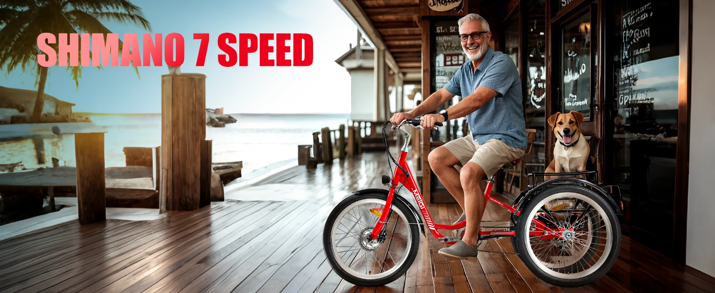 3 Wheel Electric Cargo Tricycle 750W 36V – 24″ City E-Trike for Adults Adult electric trike with 750W motor city riding