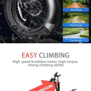 blj ebike 20x4.0 tire 750w 48v 13ah 20 inches men's and women's electric bicycle, suitable for urban beaches.