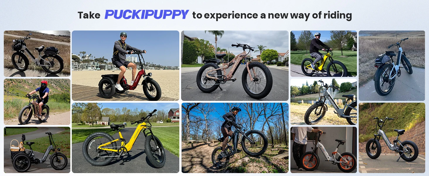PUCKIPUPPY Boxer ST Electric Bike 960W 48V 20Ah – Dual Suspension E-Bike Kf S480f1a8e756f4967b874b9ba7dfd7883f