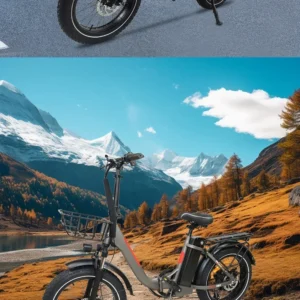 blj ebike 20x4.0 tire 750w 48v 13ah 20 inches men's and women's electric bicycle, suitable for urban beaches.