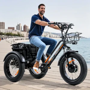 24 inch 3 wheel fat tire electric cargo bike mountain for men 48v 750w powerful electric tricycle for adults lithium battery