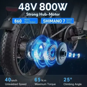 blj ebike 20x4.0 tire 750w 48v 13ah 20 inches men's and women's electric bicycle, suitable for urban beaches.