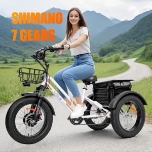 24 inch 3 wheel fat tire electric cargo bike mountain for men 48v 750w powerful electric tricycle for adults lithium battery