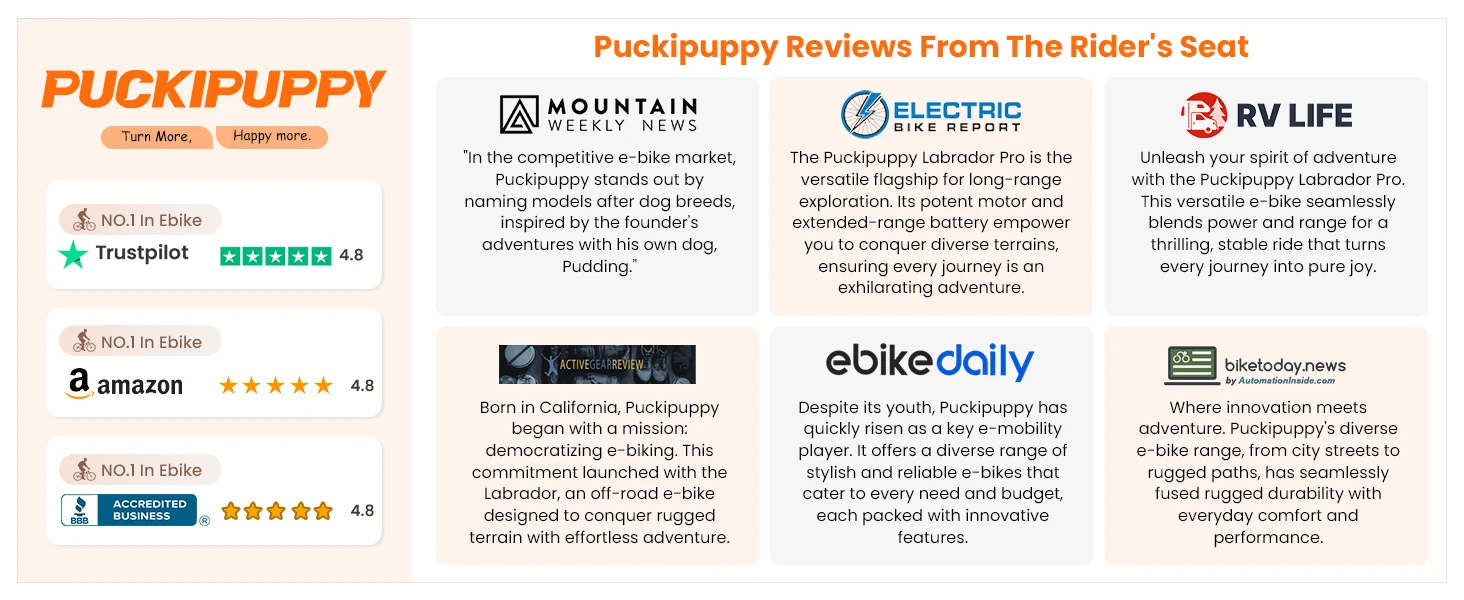 PUCKIPUPPY Boxer ST Electric Bike 960W 48V 20Ah – Dual Suspension E-Bike Kf S7ddc75f81a0347ab8cf23215913e5fffi