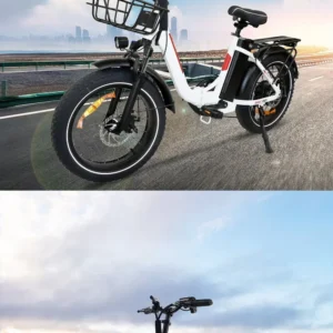 blj ebike 20x4.0 tire 750w 48v 13ah 20 inches men's and women's electric bicycle, suitable for urban beaches.