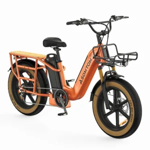 electric 750w aluminum alloy 48v30ah lithium battery central motor carry 330lb ebike adult cargo multiple shock absorption bike