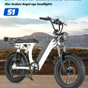 ebike s1 bike 750w 48v 16ah men's/ladies 7 speed 20 inch off road city electric bike available for beaches mountains