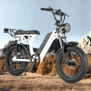 ebike s1 bike 750w 48v 16ah men's/ladies 7 speed 20 inch off road city electric bike available for beaches mountains