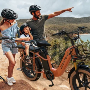 electric 750w aluminum alloy 48v30ah lithium battery central motor carry 330lb ebike adult cargo multiple shock absorption bike