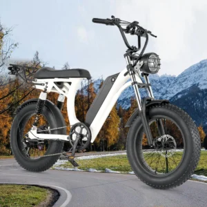 ebike s1 bike 750w 48v 16ah men's/ladies 7 speed 20 inch off road city electric bike available for beaches mountains