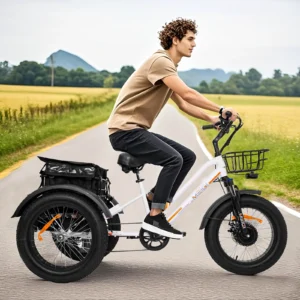 24 inch 3 wheel fat tire electric cargo bike mountain for men 48v 750w powerful electric tricycle for adults lithium battery