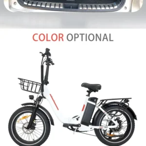 blj ebike 20x4.0 tire 750w 48v 13ah 20 inches men's and women's electric bicycle, suitable for urban beaches.