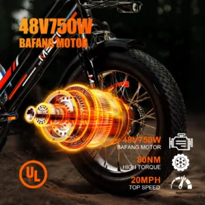 24 inch 3 wheel fat tire electric cargo bike mountain for men 48v 750w powerful electric tricycle for adults lithium battery