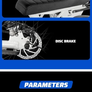 ebike s1 bike 750w 48v 16ah men's/ladies 7 speed 20 inch off road city electric bike available for beaches mountains