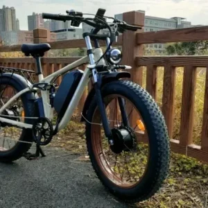 electric bike f1 2000w dual motor 48v 22ah battery adult electric bicycle 26inch tire hydraulic brake snow beach mountain e bike