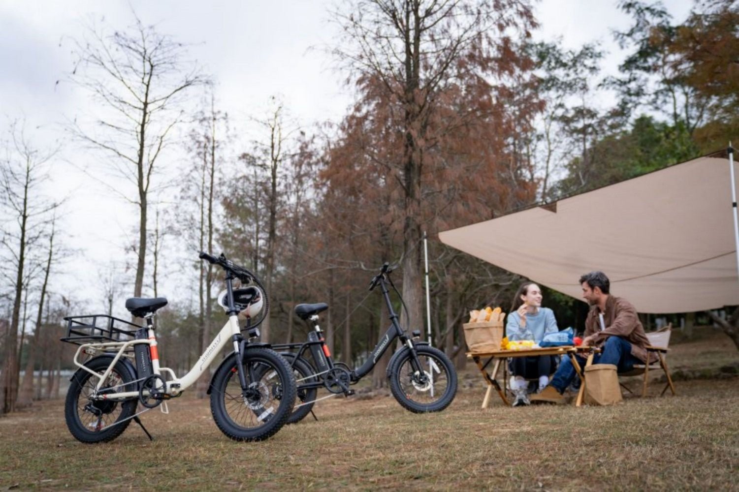 invanti tide2 20" folding electric bike 500w motor 48v 10.4ah battery black invanti tide2 20" folding electric bike 500w motor 48v 10.4ah battery black